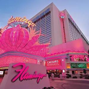 *** Semesteranläggning (resort) Flamingo Vegas & Casino USA