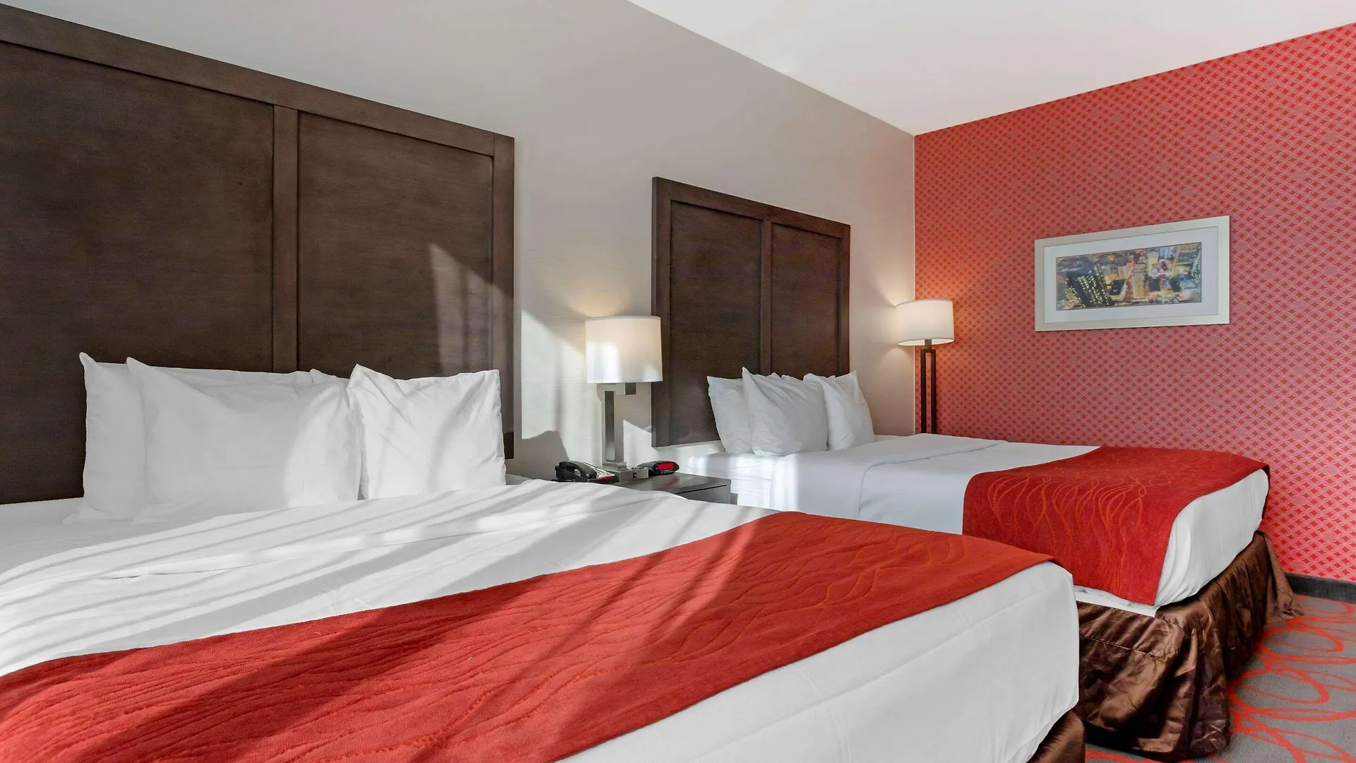 Comfort Inn & Suites Near Stadium New York USA